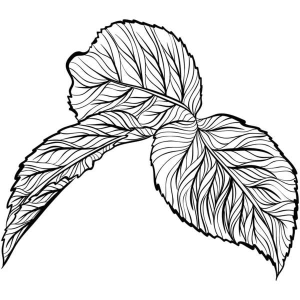Квіткове листя мистецтво лінії — стоковий вектор