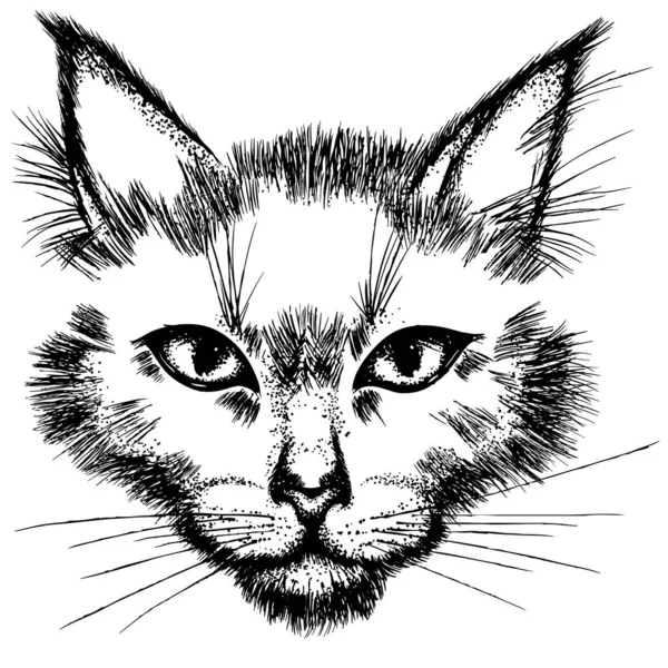 Черный кот лицо — стоковый вектор