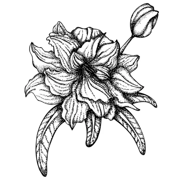 Blumenzeilenkunst — Stockvektor