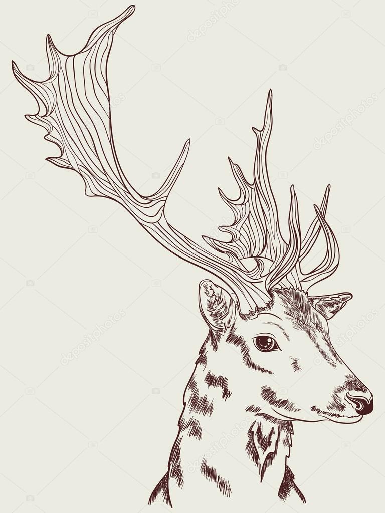 Graficzny Rysunek Sarna Grafika Wektorowa Ennona 84136838