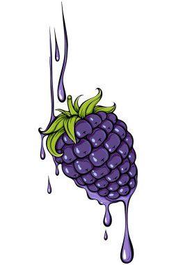 Meyve suyu damlayan böğürtlen suyu. Yakın çekim görüntüsü. Yaz meyveleri. Organik yiyecekler. El çizimi biçimi beyaz üzerine izole edilmiş basit vektör renk çizimi