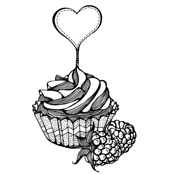 Cupcakes with raspberries monochrome drawing — Stock Vector