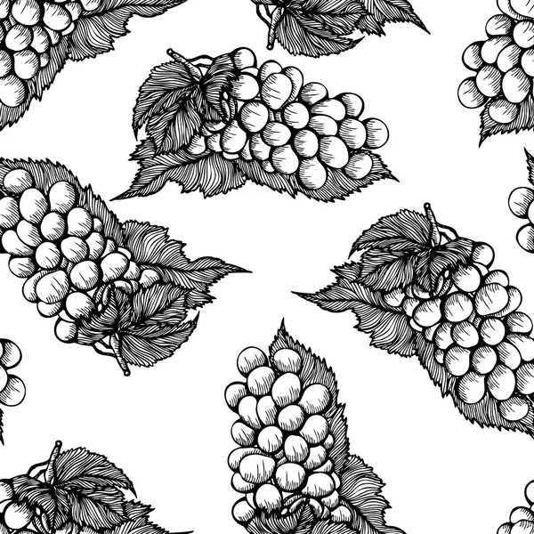 Varrat nélküli fekete-fehér mintát szőlőfürt — Stock Vector