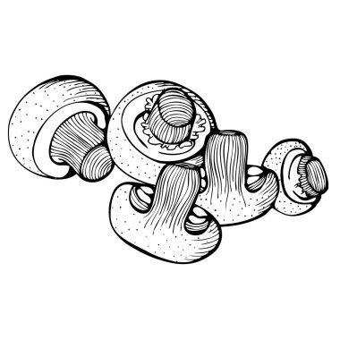 Tek renkli vektör çizim petrol mantar