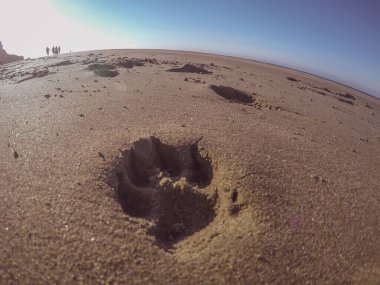 Sahilde güzel resimler.