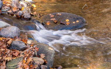 Willard Brook Eyalet Ormanı 'ndaki Willard deresi boyunca sonbahar yaprakları