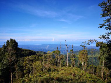 Doğa dağları, üçler, okyanus manzarası