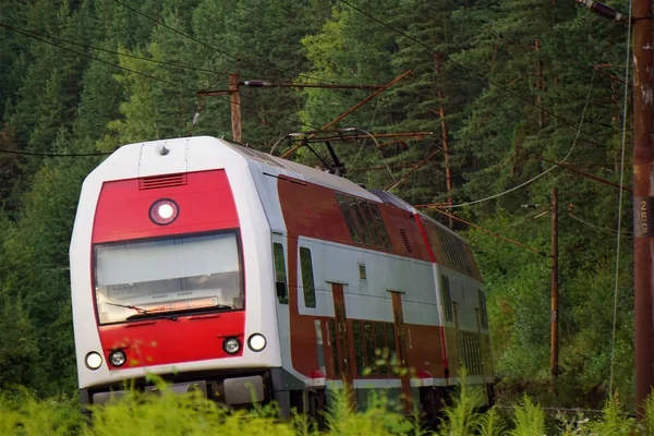 yeşillikler içinde tren
