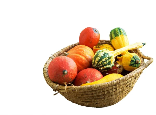 Kabak izole bir sepet içinde