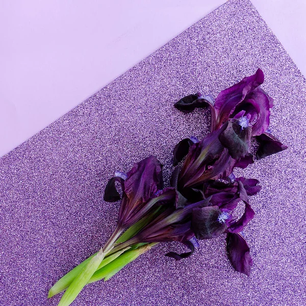 Close-up of iris flowers on a purple background .. Cultural flower of the bearded iris (Iris germanica). Postcard.