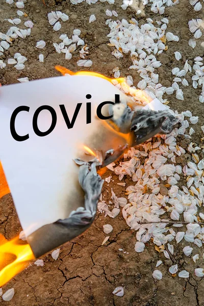 Coronovirus 'un yazılı olduğu kağıt yanıyor. Coronavirüs 'ü yenme konsepti. Bahar.