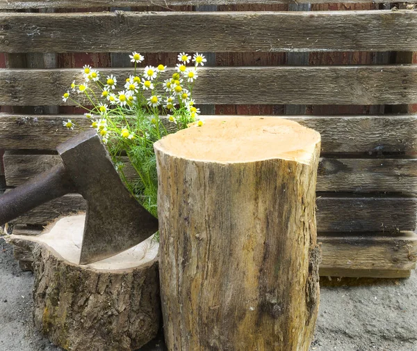 Balta ve kır arka planda çiçekli iki kütük. Yaya taşı. Uzayı kopyala Papatyalar.