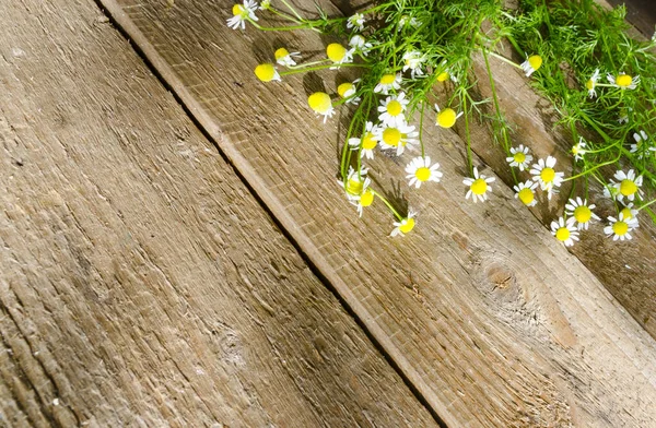 Tahta bahçe masasında papatya çiçeği. Çiçek buketi. Kopyalama alanı olan üst görünüm