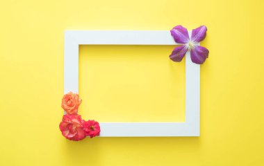 Sarı arka planda renkli çiçekli beyaz çerçeve. Minimum düzlük.