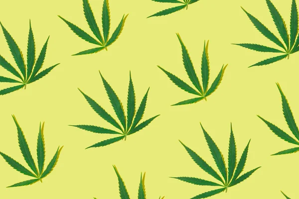 Hojas Marihuana Verde Sobre Fondo Amarillo Patrón Mínimo Plano Lay —  Fotos de Stock