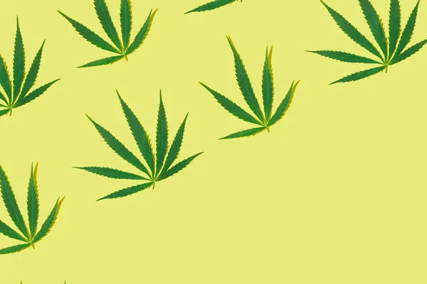 Groene Marihuana Bladeren Een Gele Achtergrond Minimale Vlakke Lay — Stockfoto