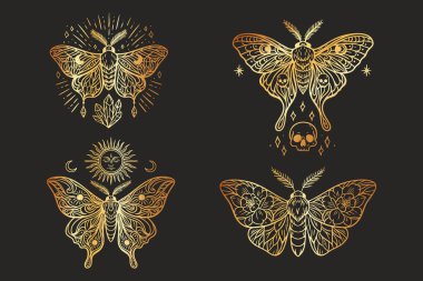 Kafatasları, uyduları, güneşi ve kristalleri olan dört gök güvesi seti siyah arkaplanda altın eğimli çizgi sanatı. Tarot, dövme ya da boho tasarımı için ideal..