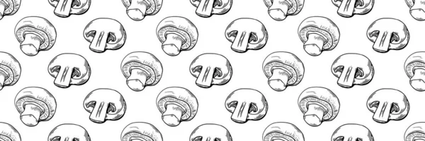 Gıda ambalajı organik ürünler ve mutfak tasarımı için mükemmel çizim tarzında elle çizilmiş mantarlar.