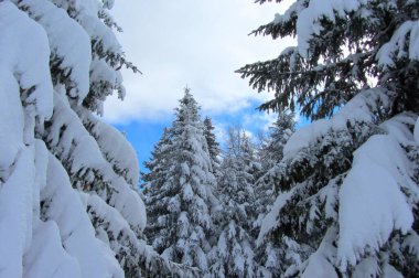 Fransız dağlarında karlı bir manzara