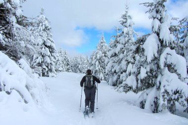 Fransız dağlarında karlı bir manzara