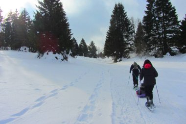 The Retord plateau is a plateau of the Jura massif, in France