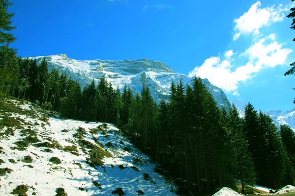 Mont Saxonnex Est Une Commune Française Des Alpes — Photo