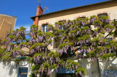 Cahors 'un güzel şehri