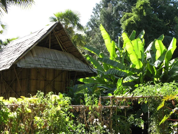 Laoská Chata Tropické Krajině — Stock fotografie