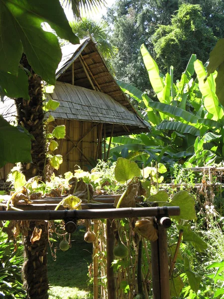 Laotian Hut Tropical Landscape — Stock Photo, Image