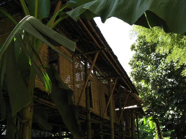 Laotian Hut Tropical Landscape — Stock Photo, Image