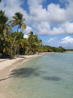 Ponton du Meridien, Guadeloupe