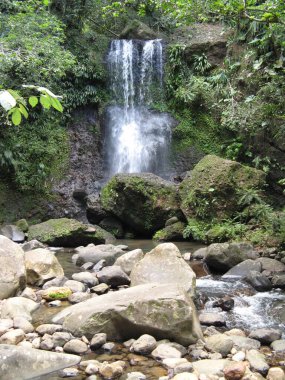 Saut des Trois cornes, Guadeloupe