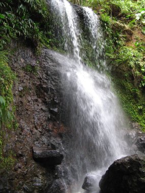Saut des Trois cornes, Guadeloupe