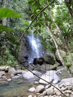 Saut des Trois cornes, Guadeloupe