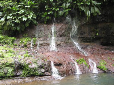 Saut de la lzarde, Guadeloupe