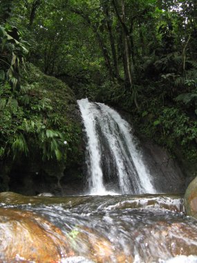 Guadeloupe 'da krevisleri çağla.