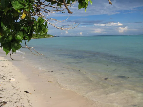 Anse Des Mancenilliers Saint Franois Guadeloupe — Stockfoto