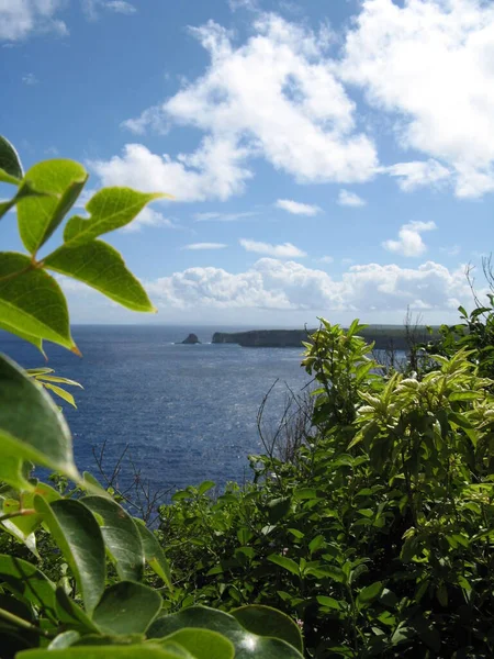 Pointe Grande Vigie Guadeloupe — Stok fotoğraf