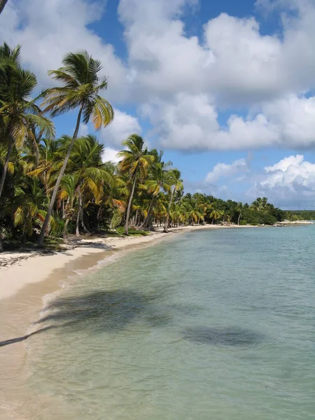 Ponton Meridien Guadeloupe — Stok fotoğraf