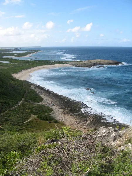 Pointe Des Chteaux Guadeloupe — Stok fotoğraf