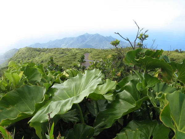 Volcan Soufrire Guadeloupe West Indies — Stock Photo, Image