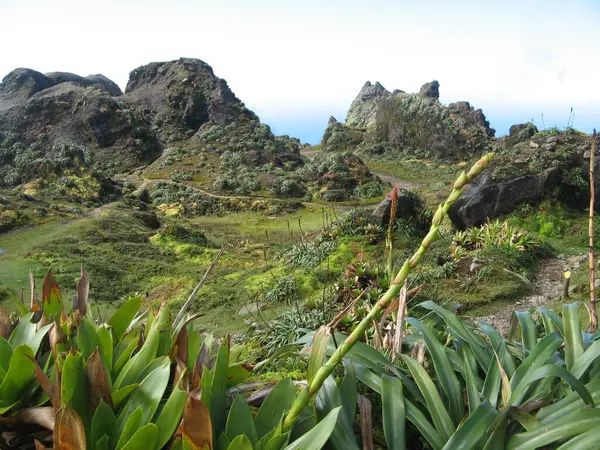 Volcan Soufrire Guadeloupe West India — стокове фото