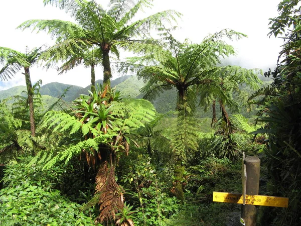 Volcan Soufriere Guadeloupe Batı Hint Adaları — Stok fotoğraf