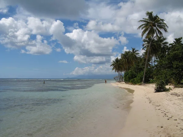 Bois Jolan Beach Guadeloupe French West India — стокове фото