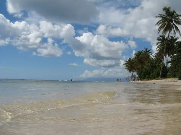 Praia Bois Jolan Guadalupe Índias Ocidentais Francesas — Fotografia de Stock