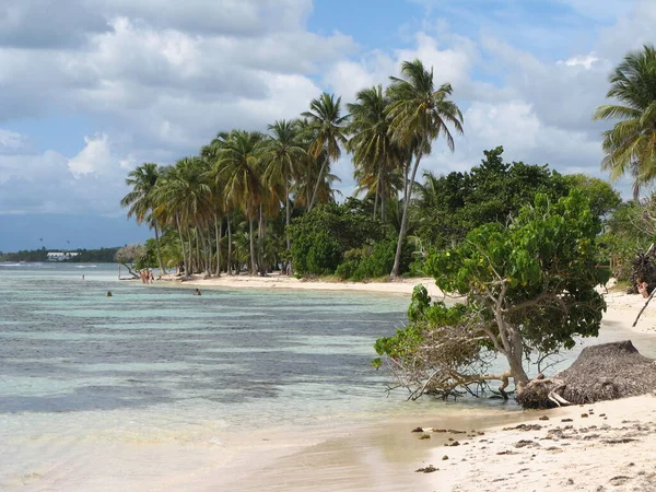 Bois Jolan Beach Guadeloupe French West Indies — Stock Photo, Image