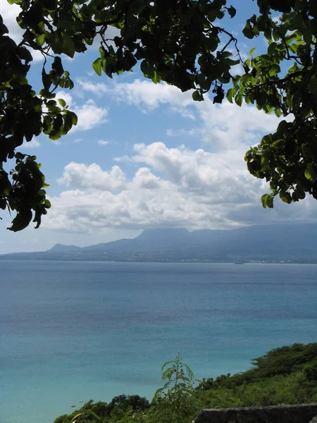 Cul Sac Marin Guadeloupe — Stok fotoğraf