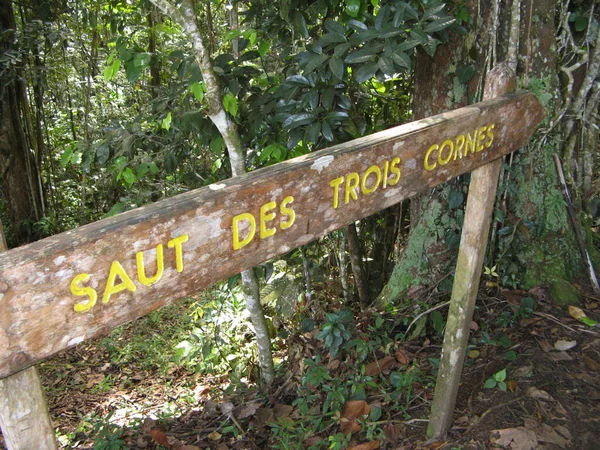 Saut Des Trois Cornes Γουαδελούπη — Φωτογραφία Αρχείου