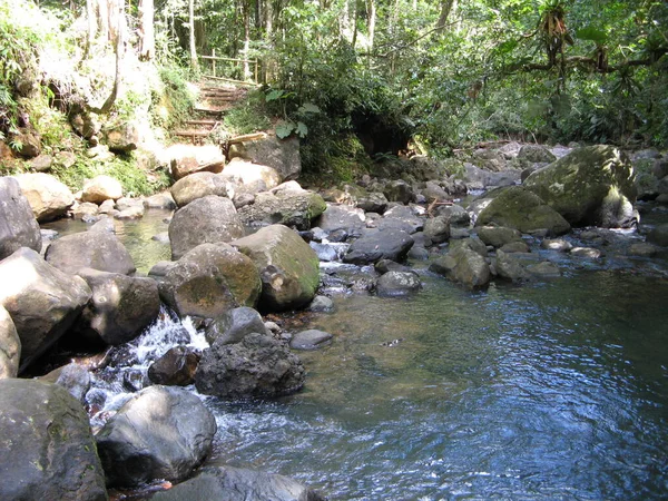 Saut Des Trois Cornes Guadeloupe — стокове фото