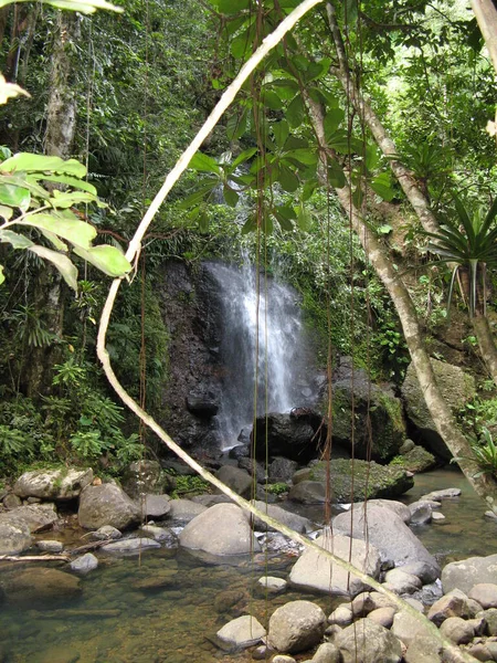 Saut Des Trois Cornes Γουαδελούπη — Φωτογραφία Αρχείου